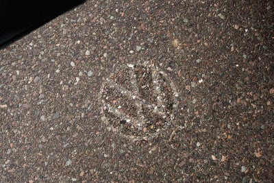 2026 Volkswagen Atlas SE W/ Tech AWD