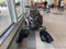 2026 SKIDOO 000UGTA00 Base